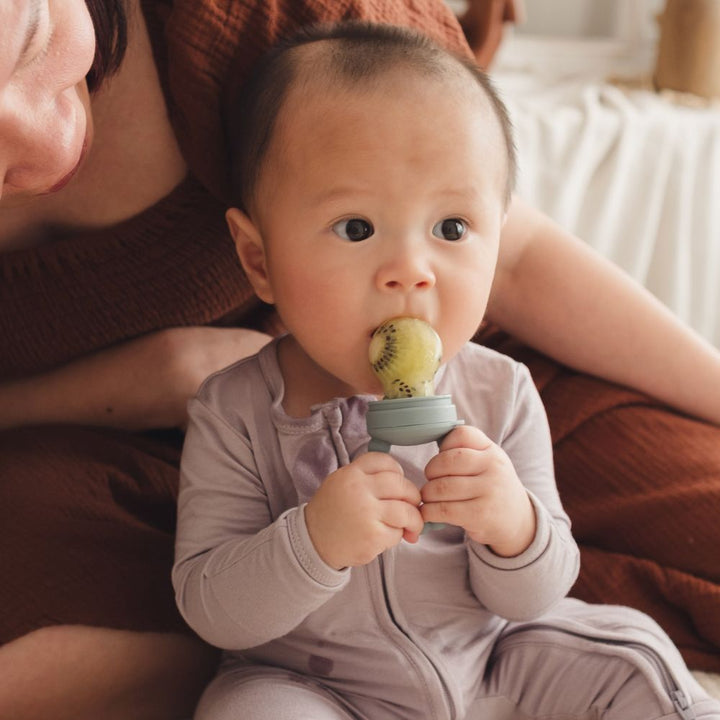 baby 2-in-1 fresh food feeder & teether (3 colours)