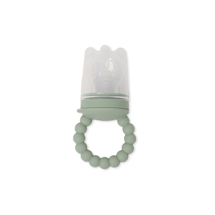 baby 2-in-1 fresh food feeder & teether (3 colours)