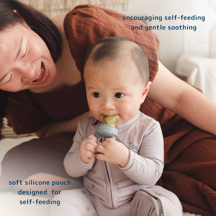 baby 2-in-1 fresh food feeder & teether (3 colours)