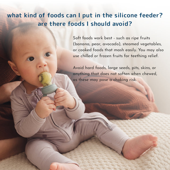 baby 2-in-1 fresh food feeder & teether (3 colours)